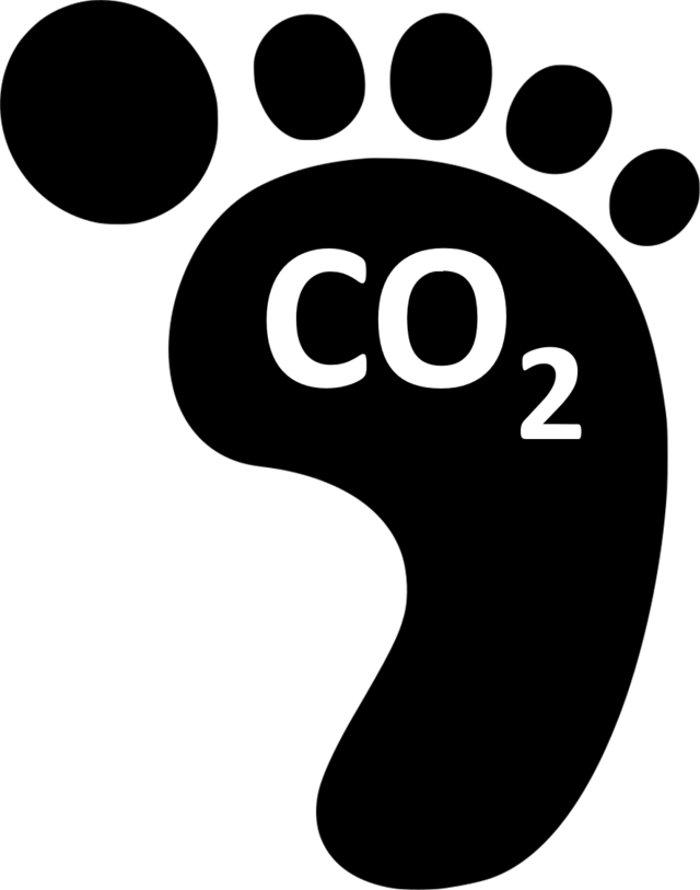 Reduces carbon footprint